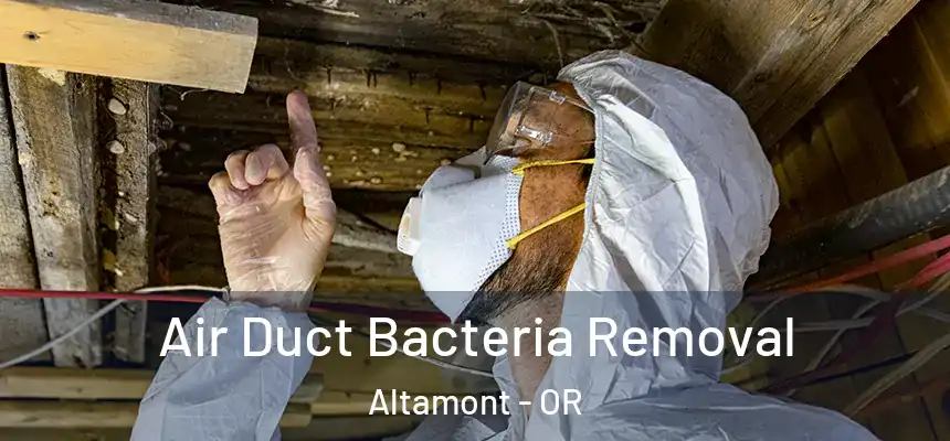  Air Duct Bacteria Removal Altamont - OR