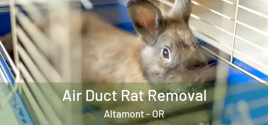  Air Duct Rat Removal Altamont - OR