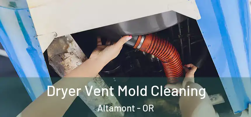 Dryer Vent Mold Cleaning Altamont - OR