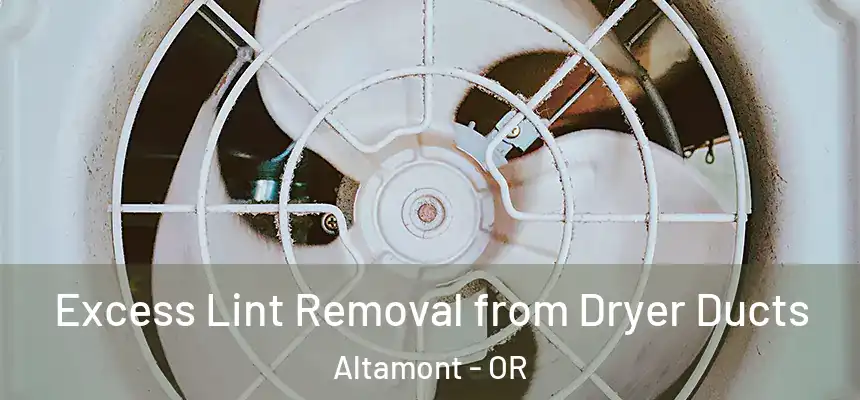 Excess Lint Removal from Dryer Ducts Altamont - OR