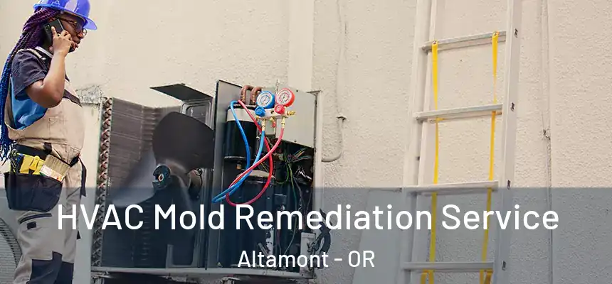 HVAC Mold Remediation Service Altamont - OR