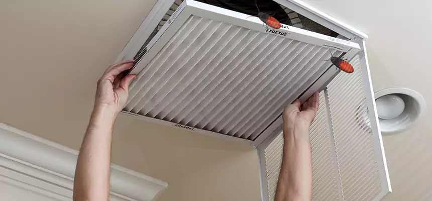 Preventive Cockroach-Proofing for Ducts in Altamont
