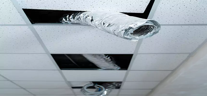 Affordable HVAC Sanitizing After Pest Removal in Altamont