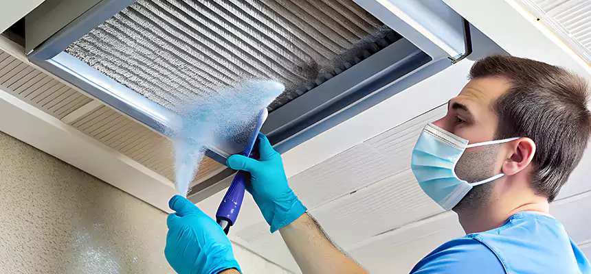Proactive Dryer Vent & Auxiliary Duct Pollen Cleanup in Altamont, OR