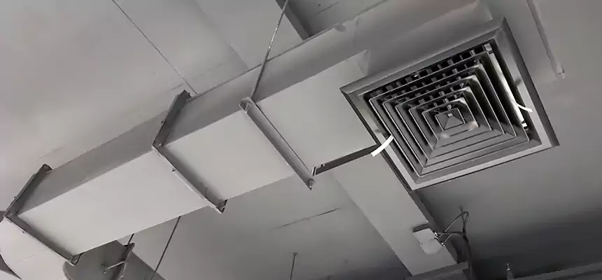 Restorative Allergy Relief Vent Cleaning – Coil, Blower & Housing Detail in Altamont