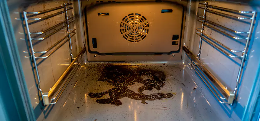 Our Dryer Vent Mold Cleaning Services in Altamont, OR