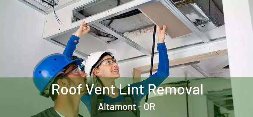 Roof Vent Lint Removal Altamont - OR