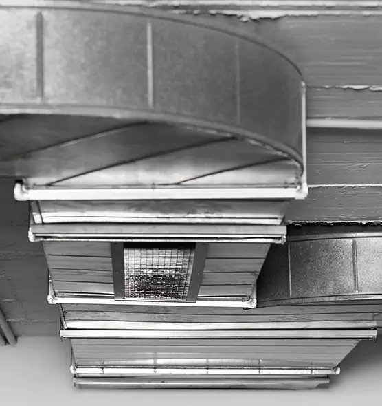 Professional Air Duct Pest Removal in Altamont, OR